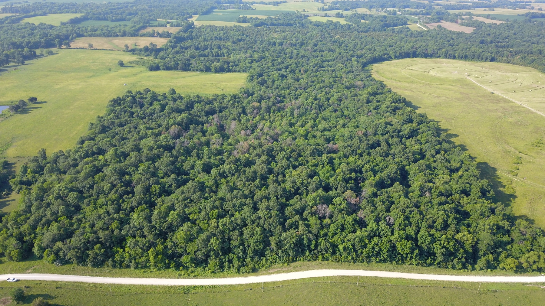 50 Acres in Macon County